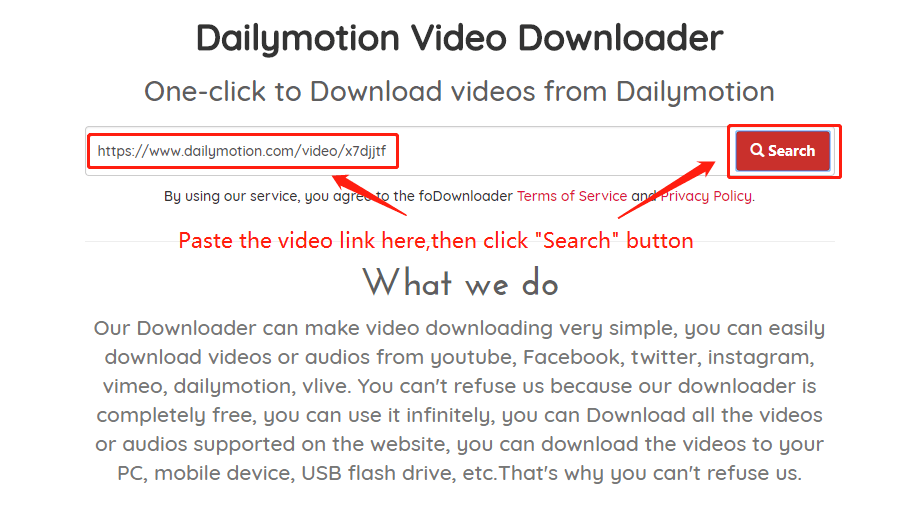 Download the dailymotion Video Wizard, step 2