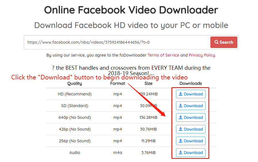 Download the Facebook Video Wizard, step 3