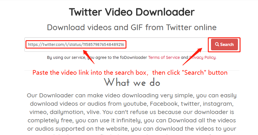 Download the Twitter Video Wizard, step 2